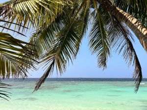 Pentru vacanţele de Crăciun şi Revelion, cererea pentru ofertele quick sales a crescut cu aproximativ 15-20%